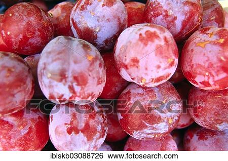 Red grapes View Large Photo Image Stock Photograph - Red grapes. Fotosearch