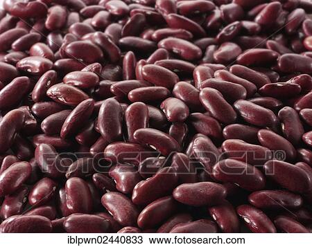 Red Kidney beans View Large Photo Image Stock Image - Red Kidney beans. Fotosearch
