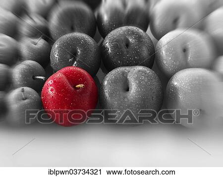 Stock Image - Red plum amongst other mixed plums. Fotosearch