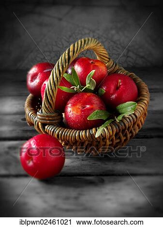 Red plums in a basket View Large Photo Image Stock Image - Red plums in a basket. Fotosearch