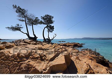 Stock Photo - "Red rocks, beach of Palombaggia, Porto Vecchio, Corse-du-Sud, Corsica, France, Europe". Fotosearch