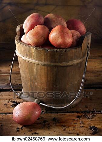 Red Rooster potatoes View Large Photo Image Stock Photograph - Red Rooster potatoes. Fotosearch