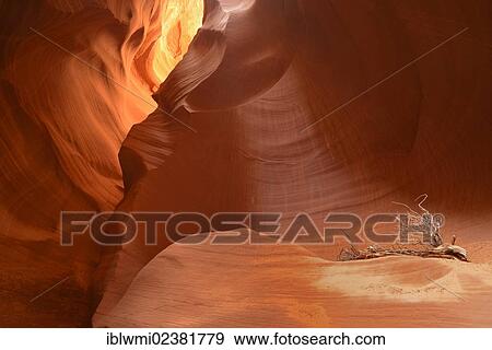 "Red sandstone of the Moenkopi Formation, rock formation, colours and structures at Secret Slot Canyon, Page, Navajo Nation Reservation, Arizona, Southwestern USA, USA" View Large Photo Image Stock Photo - "Red sandstone of the Moenkopi Formation, rock formation, colours and structures at Secret Slot Canyon, Page, Navajo Nation Reservation, Arizona, Southwestern USA, USA". Fotosearch