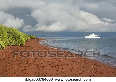 "Red sandy beach, Rabida Island, Galapagos, Unesco World Heritage Site, Ecuador, South America" View Large Photo Image Stock Photograph - "Red sandy beach, Rabida Island, Galapagos, Unesco World Heritage Site, Ecuador, South America". Fotosearch