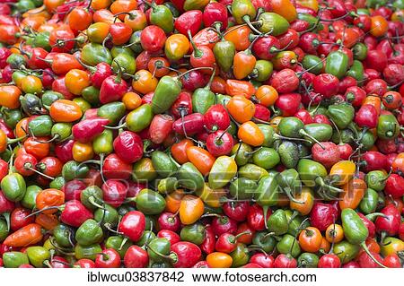 "Red, yellow and green chili peppers" View Large Photo Image Stock Image - "Red, yellow and green chili peppers". Fotosearch