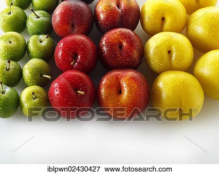 Stock Photo - "Red, yellow and green plums". Fotosearch