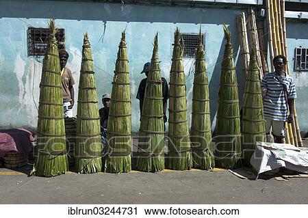 "Reed for sale in front of the market hall, Honiara, Solomon Islands, Oceania" View Large Photo Image Stock Image - "Reed for sale in front of the market hall, Honiara, Solomon Islands, Oceania". Fotosearch