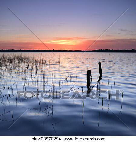 Picture - "Reeds and poles in the lake at sunrise, Lake Schaal, Mecklenburg-Western Pomerania, Germany, Europe". Fotosearch