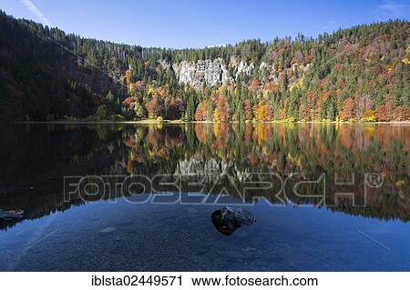 "Reflection in the autumnal Lake Feldsee in the Black Forest, Baden-Wurttemberg, Germany, Europe" View Large Photo Image Stock Image - "Reflection in the autumnal Lake Feldsee in the Black Forest, Baden-Wurttemberg, Germany, Europe". Fotosearch