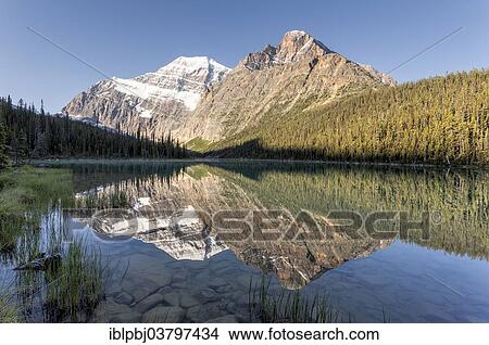 "Reflection of Mount Edith Cavell, Jasper National Park, Canada, North America" View Large Photo Image Picture - "Reflection of Mount Edith Cavell, Jasper National Park, Canada, North America". Fotosearch
