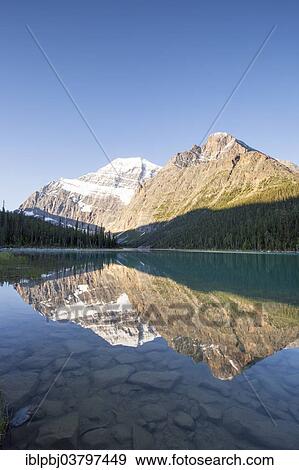"Reflection of Mount Edith Cavell, Jasper National Park, Canada, North America" View Large Photo Image Stock Photo - "Reflection of Mount Edith Cavell, Jasper National Park, Canada, North America". Fotosearch
