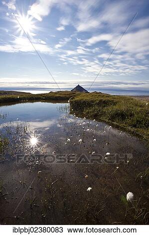 "Reflection of the sun in a pond, Snaefellsness peninsula, Iceland, Europe" View Large Photo Image Stock Image - "Reflection of the sun in a pond, Snaefellsness peninsula, Iceland, Europe". Fotosearch
