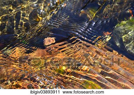 "Reflections of colorful stones in the clear water of the Fango River, Fango Valley, Corsica, France, Europe" View Large Photo Image Stock Image - "Reflections of colorful stones in the clear water of the Fango River, Fango Valley, Corsica, France, Europe". Fotosearch
