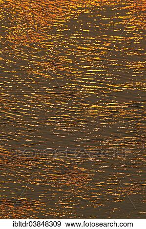 "Reflections of the setting sun in the Olifants River, Kruger National Park, South Africa, Africa" View Large Photo Image Stock Photo - "Reflections of the setting sun in the Olifants River, Kruger National Park, South Africa, Africa". Fotosearch