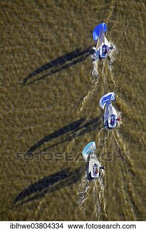 "Regatta at Muhlenberger Loch on the Elbe River, Hamburg, Germany, Europe" View Large Photo Image Picture - "Regatta at Muhlenberger Loch on the Elbe River, Hamburg, Germany, Europe". Fotosearch