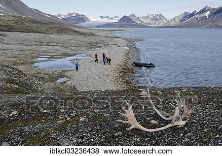 "Reindeer antlers, Zodiac inflatable boat and guests of an expedition cruise on shore, Alkhornet, Trygghamna, Isfjorden, Spitsbergen Island, Svalbard Archipelago, Svalbard and Jan Mayen, Norway, Europe" View Large Photo Image Stock Photo - "Reindeer antlers, Zodiac inflatable boat and guests of an expedition cruise on shore, Alkhornet, Trygghamna, Isfjorden, Spitsbergen Island, Svalbard Archipelago, Svalbard and Jan Mayen, Norway, Europe". Fotosearch