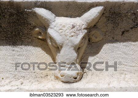 "Relief of a cow's head on a sarcophagus, Aphrodisias, Aydin province, Aegean region, Turkey, Asia" View Large Photo Image Stock Image - "Relief of a cow's head on a sarcophagus, Aphrodisias, Aydin province, Aegean region, Turkey, Asia". Fotosearch