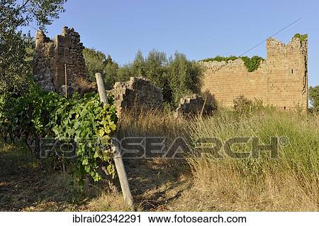 "Remains of the Cappella di San Giovenale chapel, 9th century, Castello dei Di Vico Fortress, 13th century, archaeological zone at San Giovenale, near Blera, Lazio, Italy, Europe, PublicGround, Europe" View Large Photo Image Stock Image - "Remains of the Cappella di San Giovenale chapel, 9th century, Castello dei Di Vico Fortress, 13th century, archaeological zone at San Giovenale, near Blera, Lazio, Italy, Europe, PublicGround, Europe". Fotosearch