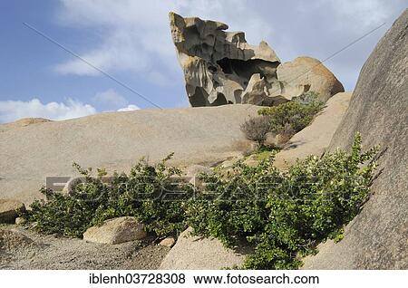 "Remarkable Rocks, Flinders-Chase-Nationalpark, Kangaroo Island, South Australia, Australia, Oceania" View Large Photo Image Stock Photo - "Remarkable Rocks, Flinders-Chase-Nationalpark, Kangaroo Island, South Australia, Australia, Oceania". Fotosearch