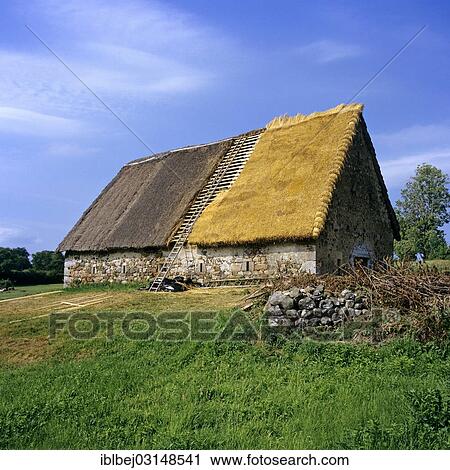 "Renovation of a thatched roof, Cantal, Auvergne, France, Europe" View Large Photo Image Stock Image - "Renovation of a thatched roof, Cantal, Auvergne, France, Europe". Fotosearch