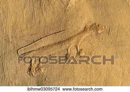 Picture - "Representation of an animal, scratch drawing of the Anasazi in a cliff, Chaco Culture National Historical Park, Nagaezi, New Mexico, United States, North America". Fotosearch