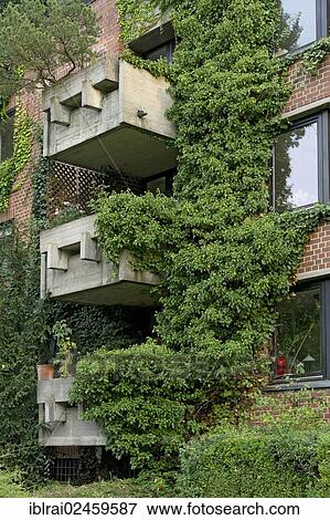 "Residential apartment house overgrown with Ivy (Hedera helix), historic town centre of Regensburg, Upper Palatinate, Bavaria, Germany, Europe" View Large Photo Image Stock Photo - "Residential apartment house overgrown with Ivy (Hedera helix), historic town centre of Regensburg, Upper Palatinate, Bavaria, Germany, Europe". Fotosearch