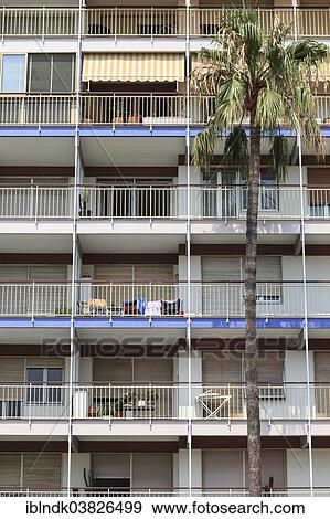 "Residential building with balconies, large palm tree at the front, Sanremo, Liguria, Italy, Europe" View Large Photo Image Stock Photo - "Residential building with balconies, large palm tree at the front, Sanremo, Liguria, Italy, Europe". Fotosearch