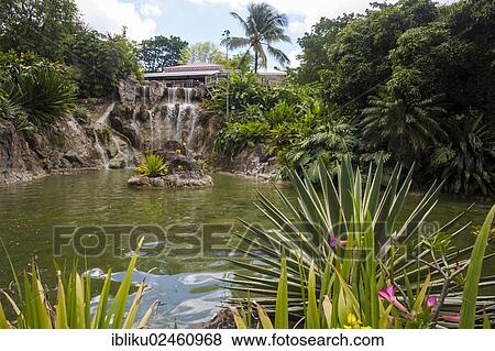 Stock Photo - "Restaurant above a waterfall, Botanical Garden of Deshaies, Guadeloupe, Lesser Antilles, Caribbean, North America". Fotosearch