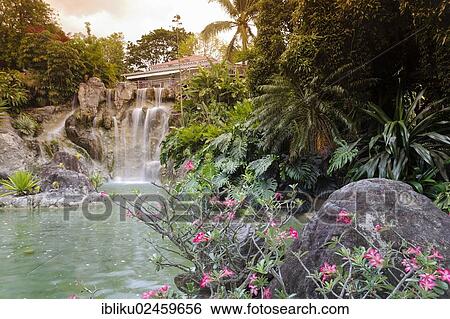 Stock Photograph - "Restaurant above the waterfall, botanical garden of Deshaies, Basse Terre, Guadeloupe, France, North America". Fotosearch