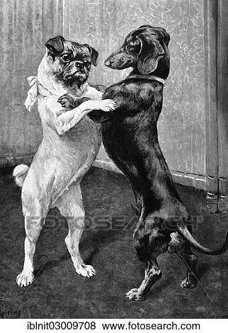 "Reunion after the end of the dog ban, an illustration from the Moderne Kunst in Meisterholzschnitten yearbook, 1900" View Large Photo Image Stock Photo - "Reunion after the end of the dog ban, an illustration from the Moderne Kunst in Meisterholzschnitten yearbook, 1900". Fotosearch
