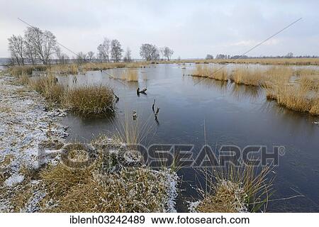 "Rewetted bog, Haren, Emsland, Lower Saxony, Germany, Europe" View Large Photo Image Stock Photo - "Rewetted bog, Haren, Emsland, Lower Saxony, Germany, Europe". Fotosearch