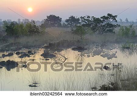 "Rewetted bog, sunrise, Dalum, Emsland, Lower Saxony, Germany, Europe" View Large Photo Image Picture - "Rewetted bog, sunrise, Dalum, Emsland, Lower Saxony, Germany, Europe". Fotosearch