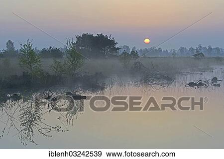 Stock Photo - "Rewetted bog, sunrise, Dalum, Emsland, Lower Saxony, Germany, Europe". Fotosearch