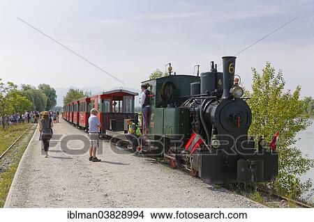 "Rheinbahnle Museum Railway at the mouth of the Rhine, Rhine Delta Nature Reserve at Lake Constance, Hard, Vorarlberg, Austria, Europe" View Large Photo Image Picture - "Rheinbahnle Museum Railway at the mouth of the Rhine, Rhine Delta Nature Reserve at Lake Constance, Hard, Vorarlberg, Austria, Europe". Fotosearch