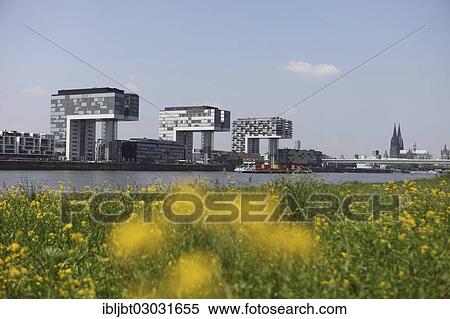 "Rhine, Rheinauhafen harbour from the Poller Wiesen floodplains, Cologne, Rhineland, North Rhine-Westphalia, Germany, Europe" View Large Photo Image Stock Photography - "Rhine, Rheinauhafen harbour from the Poller Wiesen floodplains, Cologne, Rhineland, North Rhine-Westphalia, Germany, Europe". Fotosearch