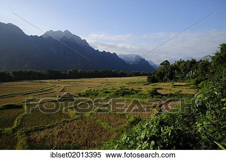 "Rice fields and karst mountains in the east of Vang Vieng, Laos, Southeast Asia, Asia" View Large Photo Image Stock Photography - "Rice fields and karst mountains in the east of Vang Vieng, Laos, Southeast Asia, Asia". Fotosearch