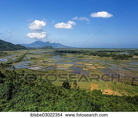 "Rice fields, Phuoc Tuong Pass, on the National Highway 1, railway line, Hue, Zentralvietnam, Vietnam, Asia" View Large Photo Image Picture - "Rice fields, Phuoc Tuong Pass, on the National Highway 1, railway line, Hue, Zentralvietnam, Vietnam, Asia". Fotosearch