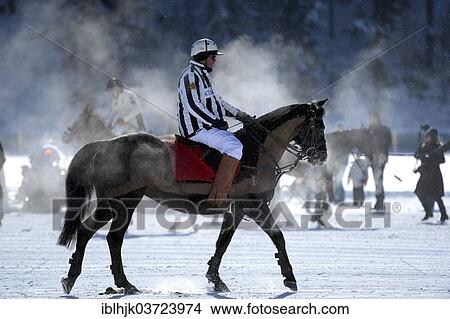 Picture - "Rider during a polo tournament, 28th St. Moritz Polo World Cup on Snow on the frozen Lake St. Moritz, St. Moritz, Engadin, Graubunden, Switzerland, Europe". Fotosearch