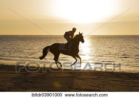 "Rider riding towards the starting gate, horse race at the beach of Sanlucar de Barrameda at the Guadalquivir river mouth, Cadiz province, Andalusia, Spain, Europe" View Large Photo Image Stock Image - "Rider riding towards the starting gate, horse race at the beach of Sanlucar de Barrameda at the Guadalquivir river mouth, Cadiz province, Andalusia, Spain, Europe". Fotosearch