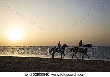 "Riders riding towards the starting gate, horse race at the beach of Sanlucar de Barrameda at the Guadalquivir river mouth, at sunset, Cadiz province, Andalusia, Spain, Europe" View Large Photo Image Stock Image - "Riders riding towards the starting gate, horse race at the beach of Sanlucar de Barrameda at the Guadalquivir river mouth, at sunset, Cadiz province, Andalusia, Spain, Europe". Fotosearch