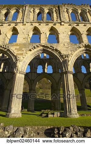 "Rievaulx Abbey main aisle arches and windows, North Yorkshire, England, United Kingdom, Europe" View Large Photo Image Picture - "Rievaulx Abbey main aisle arches and windows, North Yorkshire, England, United Kingdom, Europe". Fotosearch