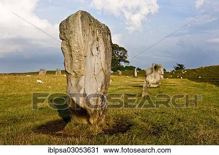"Ring of standing stones, stone circle, Avebury, Wiltshire, England, United Kingdom, Europe" View Large Photo Image Stock Image - "Ring of standing stones, stone circle, Avebury, Wiltshire, England, United Kingdom, Europe". Fotosearch
