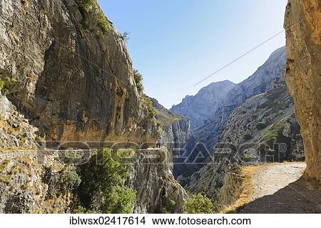 Rio Cares Gorge, limestone massif of the Picos de Europa, hikers, Picos de Europa National Park, Cantabrian Mountains, Northern Spain, Spain, Europe, PublicGround, Europe View Large Photo Image Picture - Rio Cares Gorge, limestone massif of the Picos de Europa, hikers, Picos de Europa National Park, Cantabrian Mountains, Northern Spain, Spain, Europe, PublicGround, Europe. Fotosearch