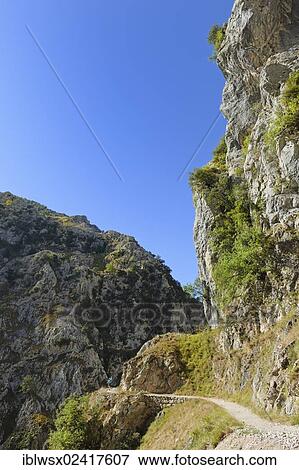 Rio Cares Gorge, limestone massif of the Picos de Europa, hikers, Picos de Europa National Park, Cantabrian Mountains, Cantabria, Northern Spain, Spain, Europe, PublicGround, Europe View Large Photo Image Stock Photo - Rio Cares Gorge, limestone massif of the Picos de Europa, hikers, Picos de Europa National Park, Cantabrian Mountains, Cantabria, Northern Spain, Spain, Europe, PublicGround, Europe. Fotosearch