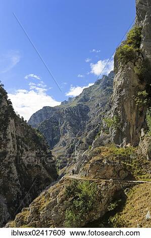 Rio Cares Gorge, limestone massif of the Picos de Europa, hikers, Picos de Europa National Park, Cantabrian Mountains, Cantabria, Northern Spain, Spain, Europe, PublicGround, Europe View Large Photo Image Stock Photo - Rio Cares Gorge, limestone massif of the Picos de Europa, hikers, Picos de Europa National Park, Cantabrian Mountains, Cantabria, Northern Spain, Spain, Europe, PublicGround, Europe. Fotosearch