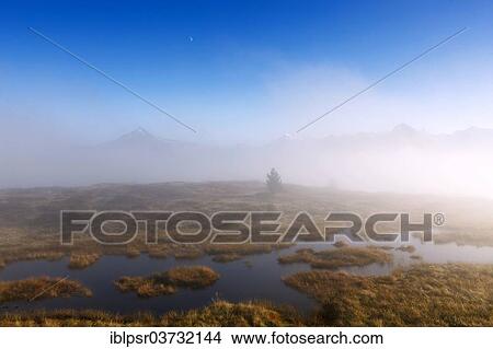 "Rising fog at Filzenlacke peat bog, Filzenlacke, Zillertal, Schwendau, Tyrol, Austria, Europe" View Large Photo Image Picture - "Rising fog at Filzenlacke peat bog, Filzenlacke, Zillertal, Schwendau, Tyrol, Austria, Europe". Fotosearch