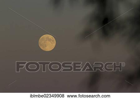 "Rising full moon in Potsdam, Brandenburg, Germany, Europe" View Large Photo Image Stock Photo - "Rising full moon in Potsdam, Brandenburg, Germany, Europe". Fotosearch