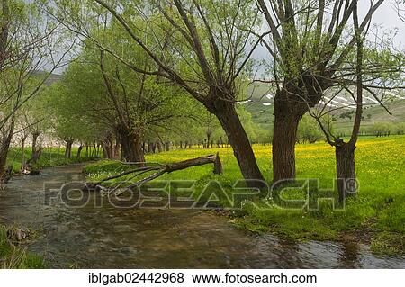 "River and trees, Diyarbakir, Eastern Turkey" View Large Photo Image Stock Photo - "River and trees, Diyarbakir, Eastern Turkey". Fotosearch
