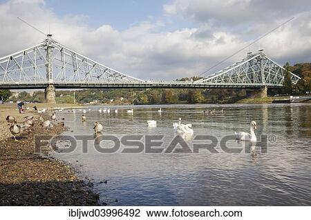 "River Elbe and the Blaues Wunder bridge, Dresden, Saxony, Germany, Europe" View Large Photo Image Stock Image - "River Elbe and the Blaues Wunder bridge, Dresden, Saxony, Germany, Europe". Fotosearch