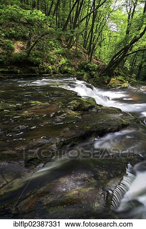 "River flowing through tree-lined gorge, Nedd Fechan, Brecon Beacons National Park, Powys, Wales, United Kingdom, Europe" View Large Photo Image Stock Image - "River flowing through tree-lined gorge, Nedd Fechan, Brecon Beacons National Park, Powys, Wales, United Kingdom, Europe". Fotosearch